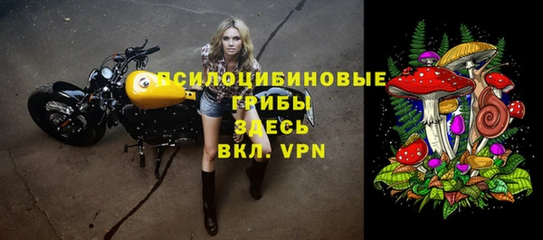 каннабис Арсеньев